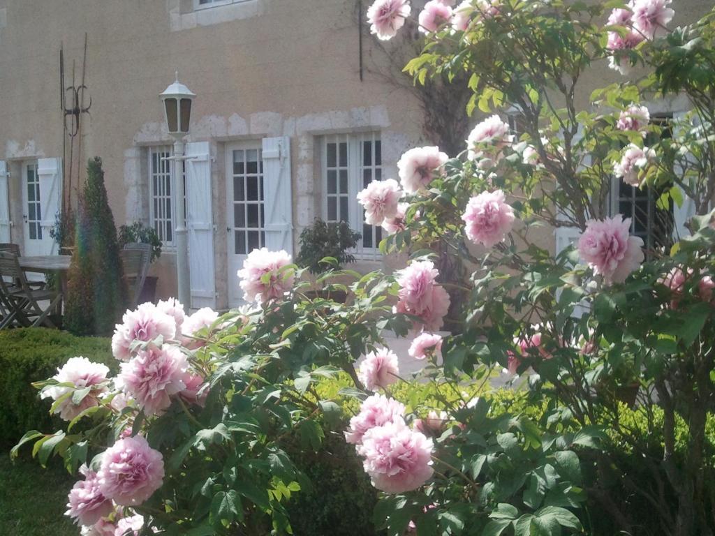 Guest House Le Clos Pasquier Blois Exterior photo